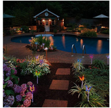 Garden Solar Lights